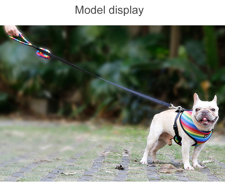 Dog Rainbow chest strap
