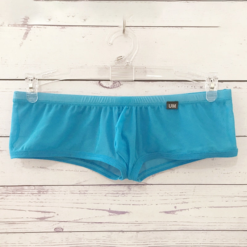 Low waist men's fully transparent mesh boxer briefs