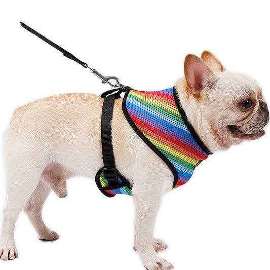 Dog Rainbow chest strap