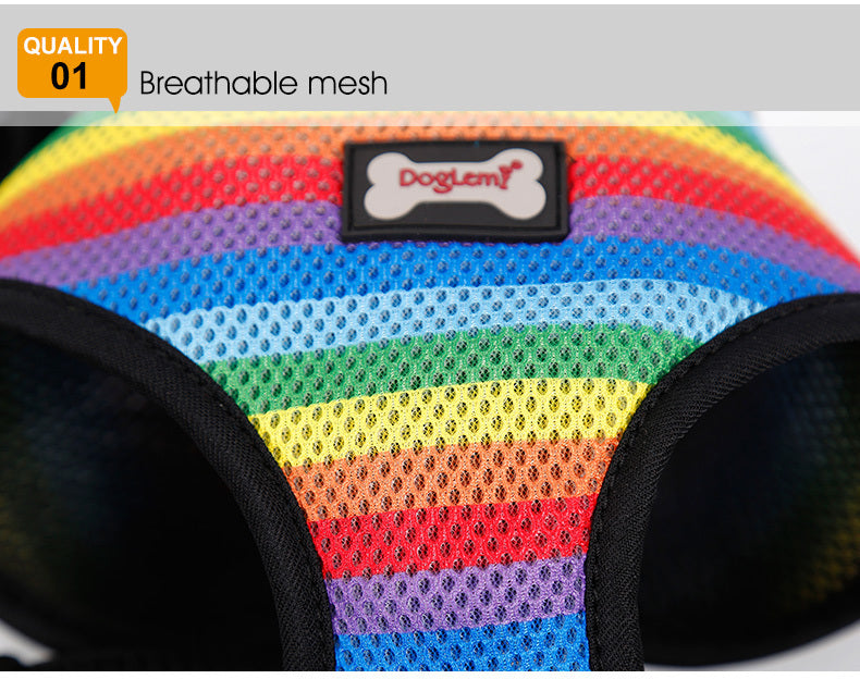 Dog Rainbow chest strap