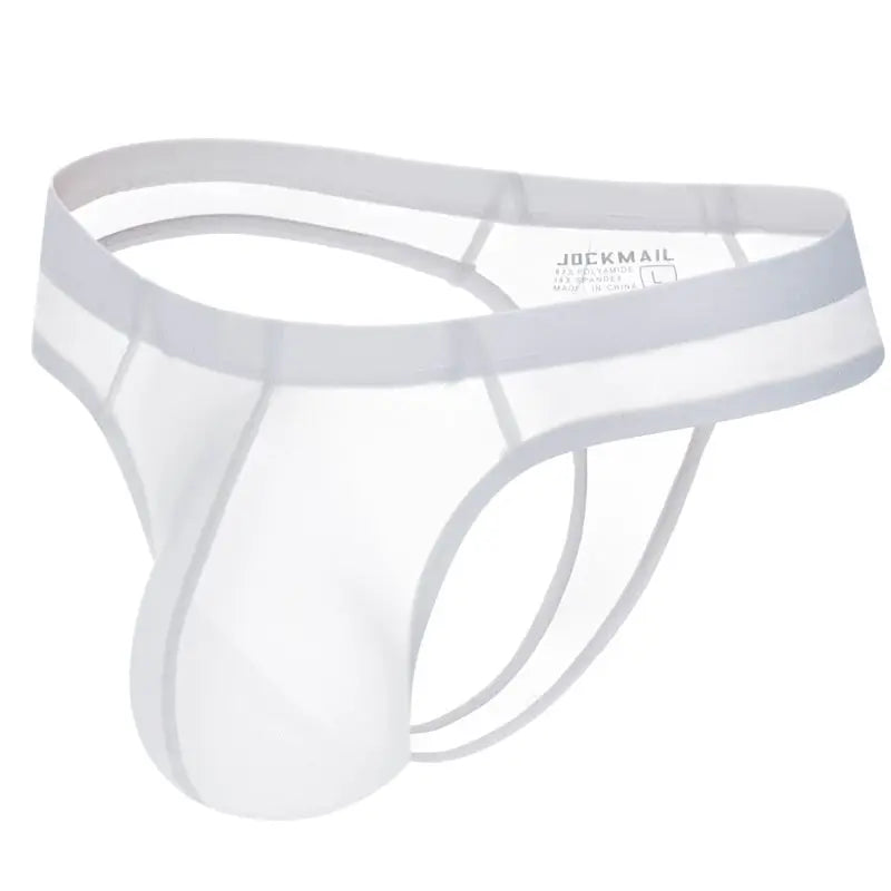 Ropa interior sexi para hombre, Panochas, suspensorio, Cueca Tangas, Bikini para hombre, breve seda de hielo transparente 